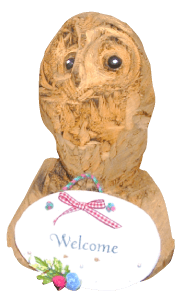 welcomeとかかれたメモとフクロウの置物の写真